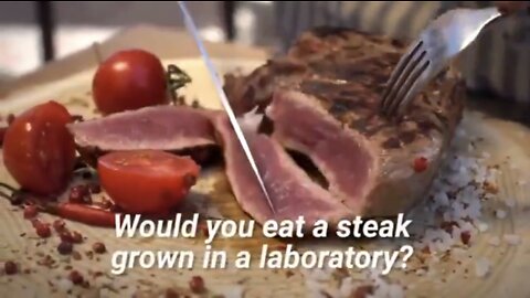 Lab-Grown Meat Is Coming