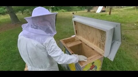 Moving Day for Our Bees