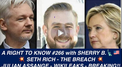 SETH RICH, DNC HACK, JULIAN ASSANGE, “THE BREACH, Murder for Hire Beyond a Reasonable Doubt!”