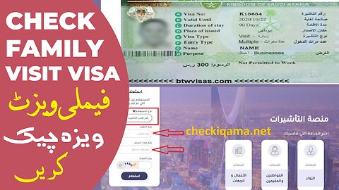 How to check Family Visit visa Online MOFA