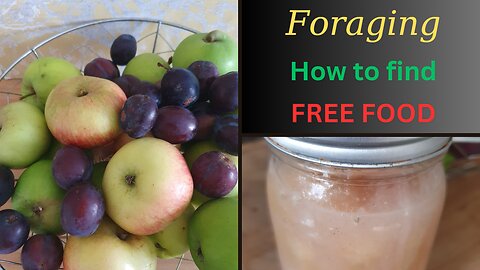 Foraging at a community orchard| cost of living and free food