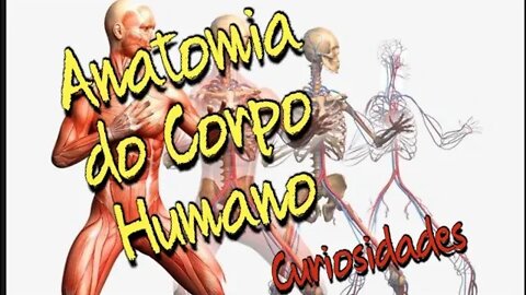 Corpo Humano Anatomia 👉 como desvendar a anatomia