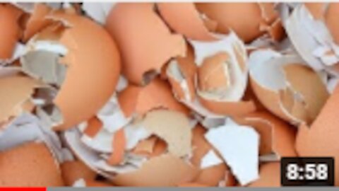 You Will Never Throw Away Eggshells After Watching This