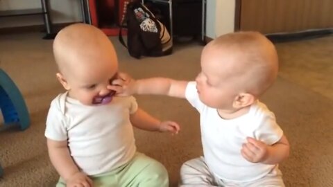 Twins_Babye_Fighting