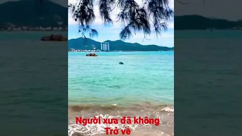 #canhdepvietnam 🇻🇳 #trachthan