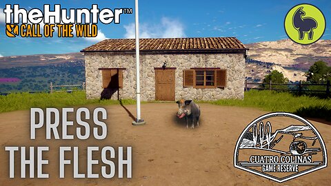 Press the Flesh, Cuatro Colinas | theHunter: Call of the Wild (PS5 4K)