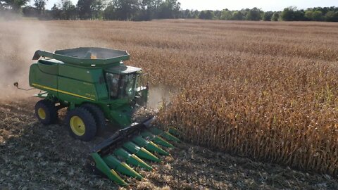 Corn Harvest!! Why Only 6 Rows At A Time??