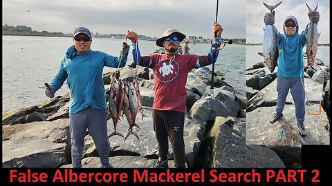 FALSE ALBACORE! Mackerel Search part 2. *** SECRET JETTY SPOT ***