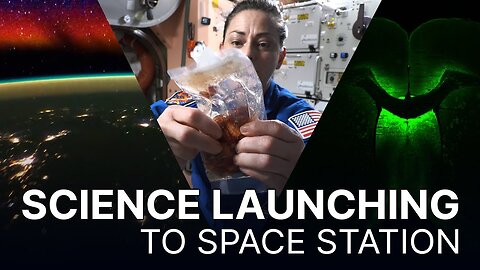 Science on Northrop Grumman's CRS-19 Mission to the Space Station