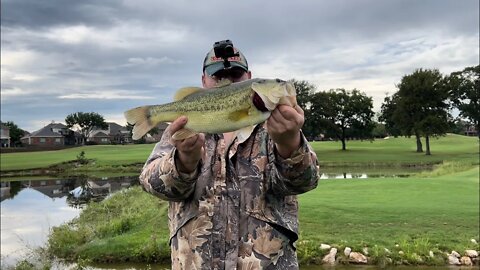 Mega Spillway Bass!