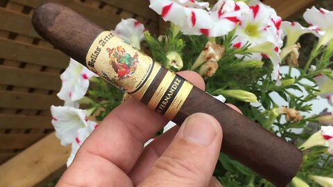 Bellas Artes Maduro Robusto - A.J. Fernandez Review