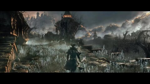 Did You See?|BloodBorne PSX