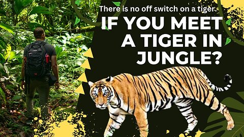 Majestic Tigers of the Jungle: A Short Wildlife Encounter