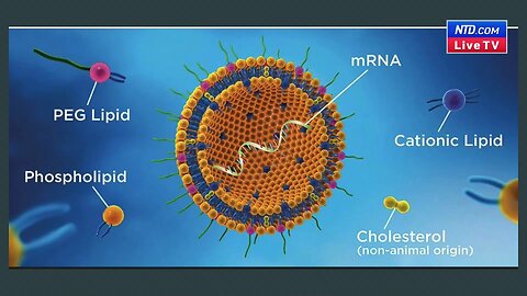 We Knew mRNA Vaccines Could Get Into Brain and Ovaries Since 2012 - Dr. Richard Urso