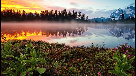 The splendor of nature. Meditation and relaxation.