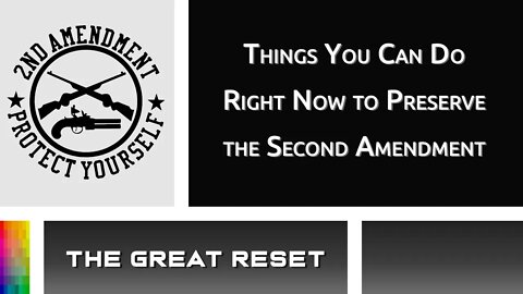 [The Great Reset] Things You Can Do Right Now to Preserve the Second Amendment