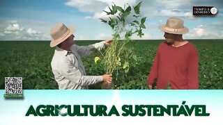 Para mais produtividade Lottus Biosoluções oferece fertilizante orgânico líquido SH 24