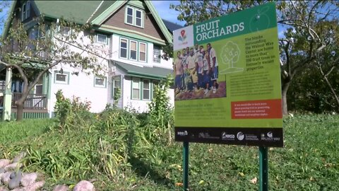 150 years strong: The Lindsay Heights neighborhood is making a comeback