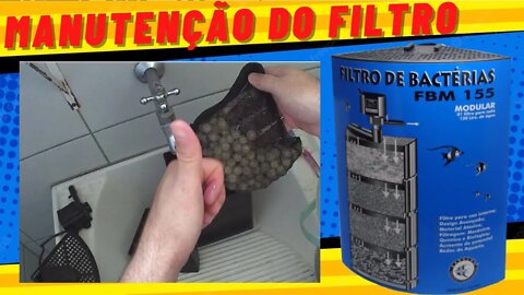 🔴 Manutenção e Limpeza Completa do Filtro Interno Modular Zanclus FBM 155 (Biológico e Mecânico)