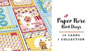 Paper Rose Studio | Bird Days | 10 cards 1 collection