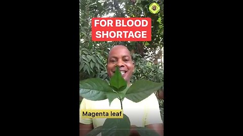 FOR BLOOD SHORTAGE BOIL SOME MAGNETA LEAF.