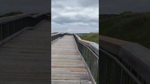 Walking the Boardwalk to Brackley Beach