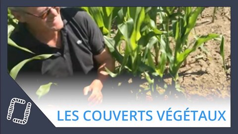 Les couverts végétaux par Alfred Gässler @Pour une Agriculture du Vivant