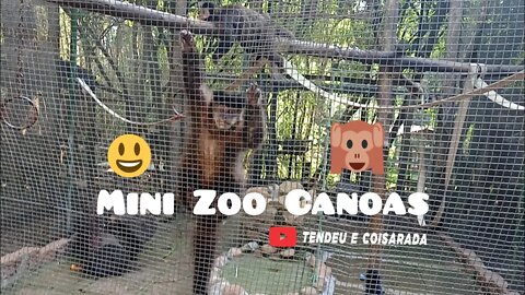 Mini zoo do Parque Getúlio Vargas ou Capão do Corvo Canoas/RS #minizoocanoas #capaodocorvo #canoasrs