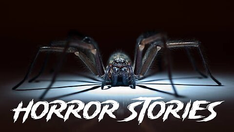 5 Terrifying Spider Horror Stories / Encounters