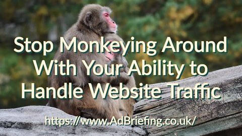 All of What is Necessary for More Traffic To Your Website