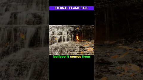 Unveiling the Enigmatic Beauty of the Eternal Flame Fall