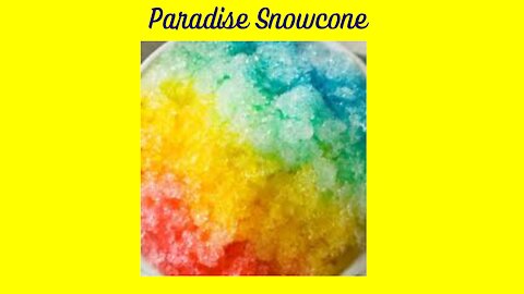 What is Paradise Snowcones & More?