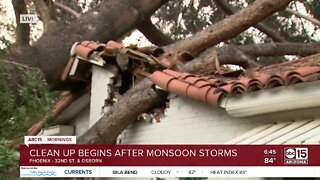 Tree topples on Phoenix home near 32nd St. and Osborn