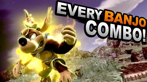 Banjo & Kazooie Combos You Can ONLY Find Here