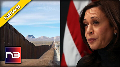 Kamala Harris Reaches NEW Milestone…. But NOT In a Good Way