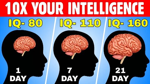 How To 10x Your Intelligence