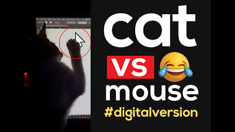 Cat VS Computer Mouse | Cute kitten tries to catch Mouse Pointer Funny Video