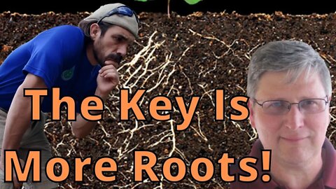 The Key To Taking Up Nutrients Is More Root Tips