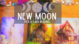 Pick a card Reading- New Moon Reading