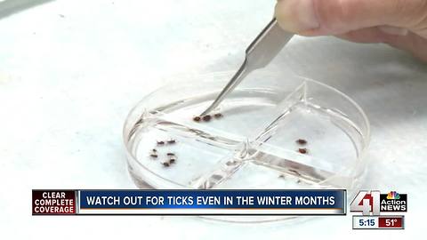 Tick season still a concern as hunters head out