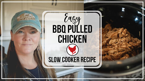 Easy BBQ Chicken | A Good Life Farm