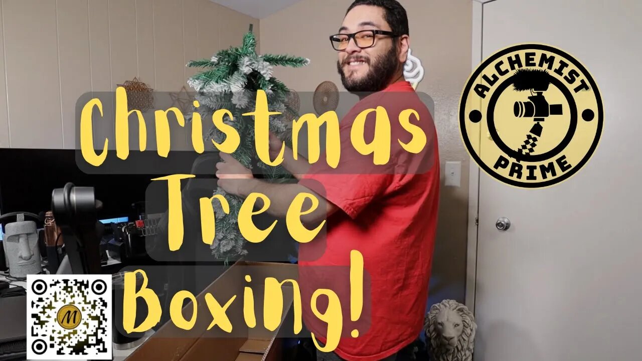 Tree Boxing Car In Christmas Tree Boxing!