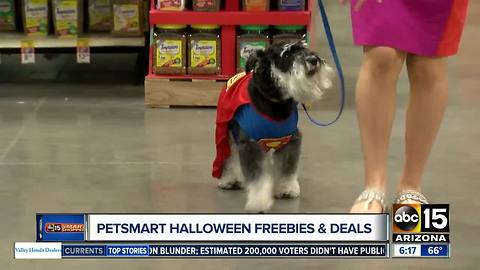 PetSmart holding a Halloween Spooktacular event for your four-legged friends