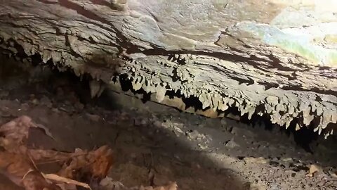 Hurricane Creek Shelter Cave Dig Site Ozark Hippie Camp