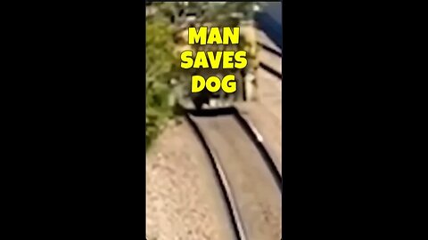 Man Saves Dog ❤️