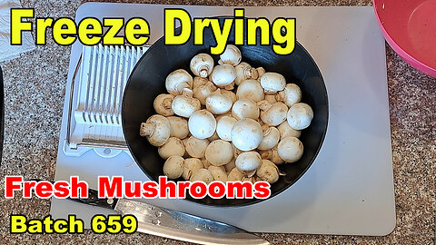 Freeze Drying - Batch 659 - Fresh Mushrooms