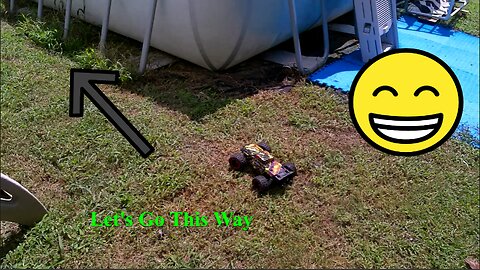 RC Dragon Going Crazy In The Back Yard Part 1