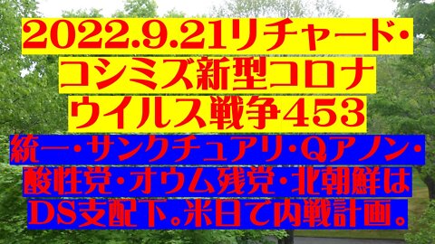 2022.09.21 リチャード・コシミズ新型コロナウイルス戦争４５３