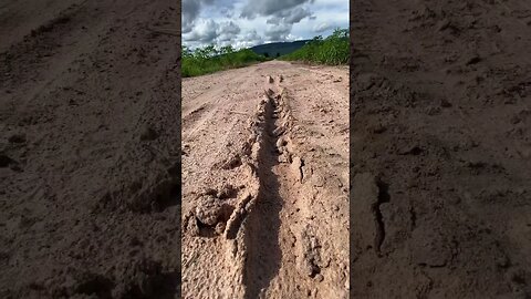 Mountain Footage Cover by Cassava field-Phnom Kulen National Park