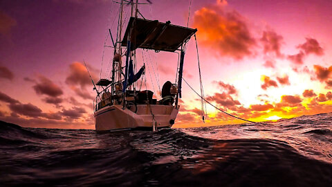 Abrolhos Islands, Rootail mooring - Life Over Longevity episode 07